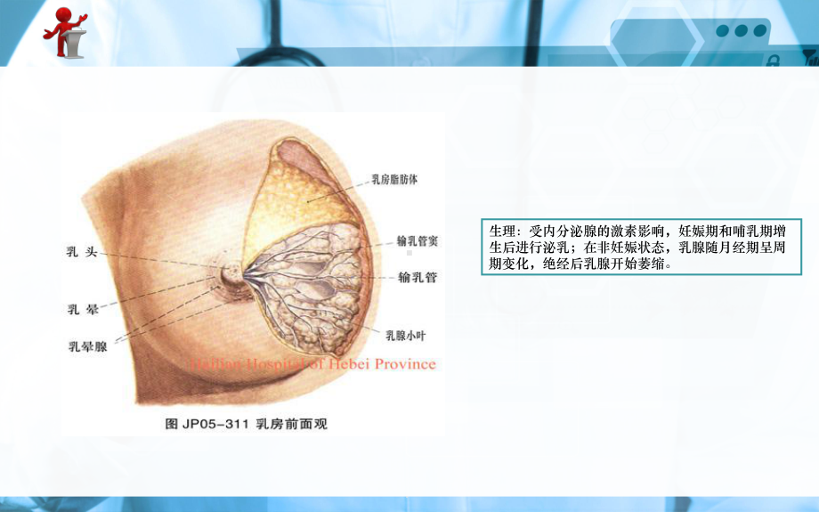 《外科护理》第十二章第一节急性乳腺炎课件.ppt_第3页