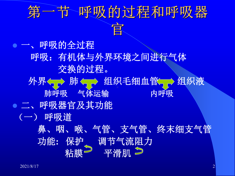 （教学课件）第五章呼吸系统[生理.ppt_第2页