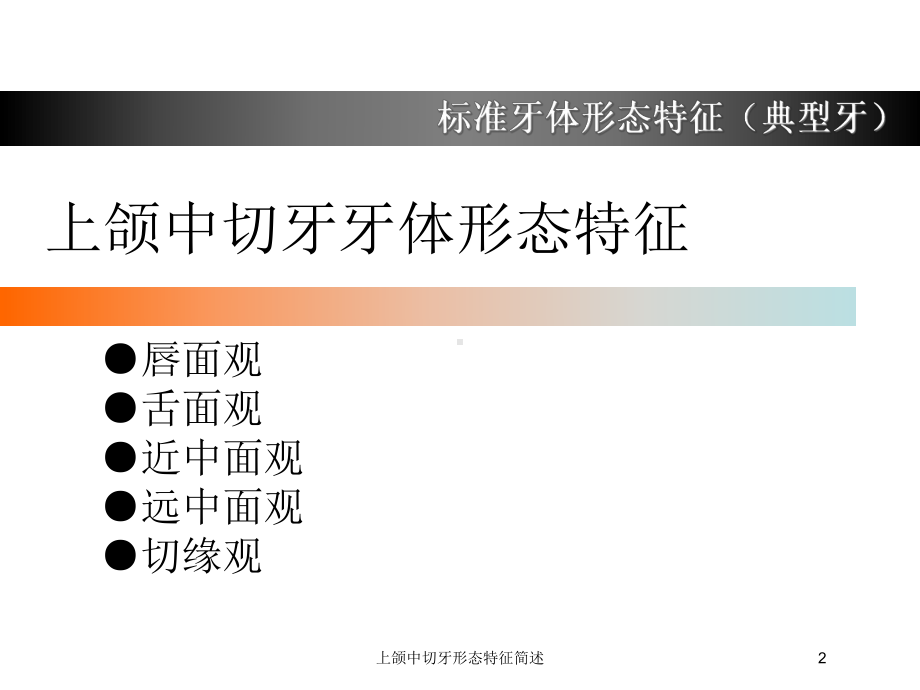 上颌中切牙形态特征简述培训课件.ppt_第2页