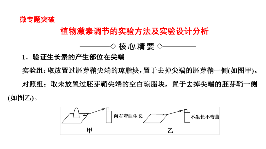 高中生物-第1章-植物生命活动的调节-植物激素调节的实验方法及实验设计分析微专题突破课件-浙科版必修3.ppt_第2页