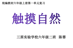 统编六年级上册第一单元复习课件.pptx