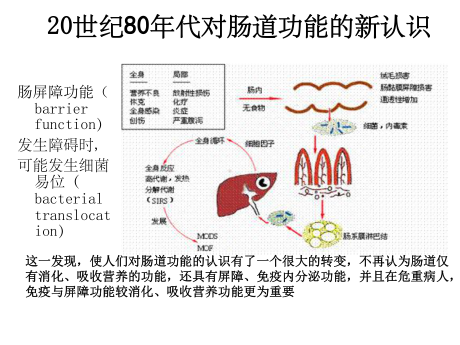 肠内营养制剂课件.ppt_第3页