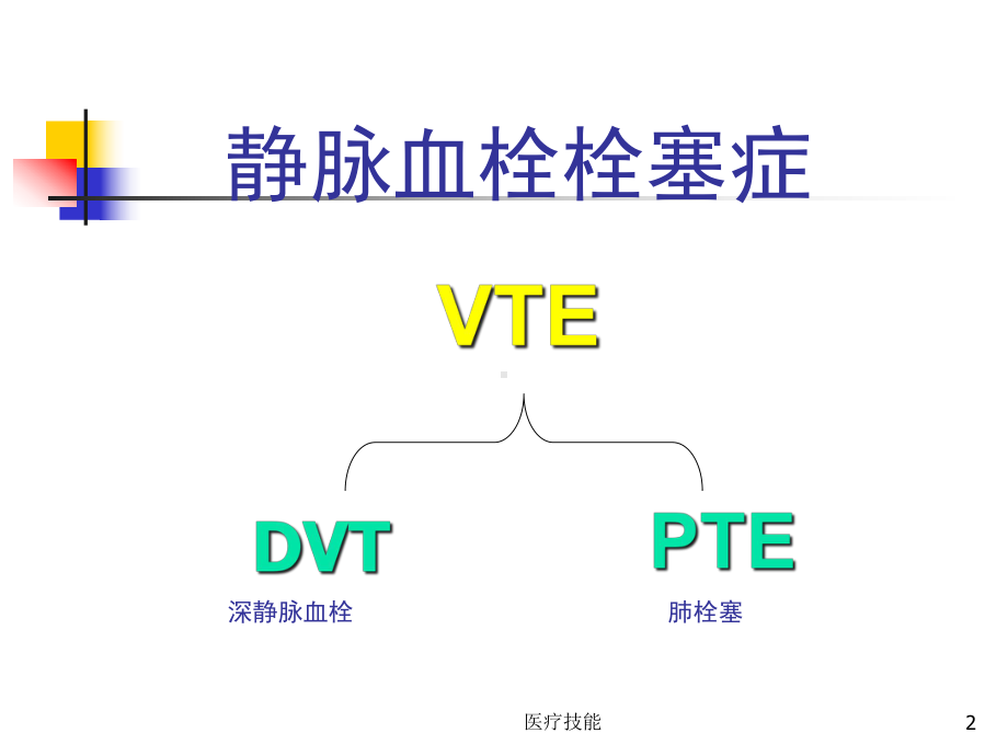 下肢静脉血栓形成机制(医学技术)课件.ppt_第2页