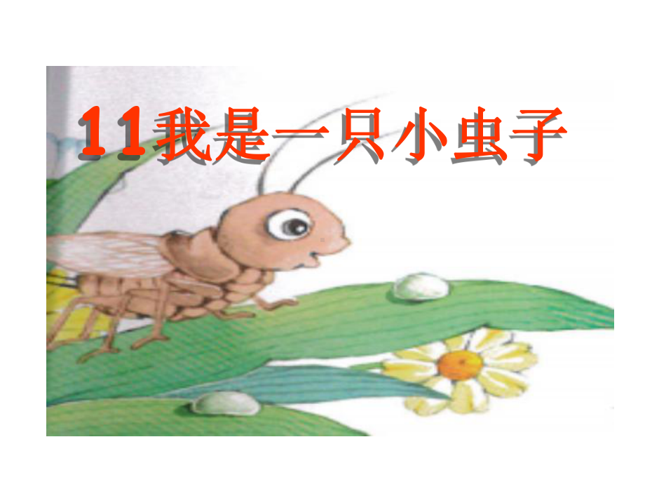 部编新人教版二年级语文下册优质课件第4单元11、我是一只小虫子.ppt_第1页