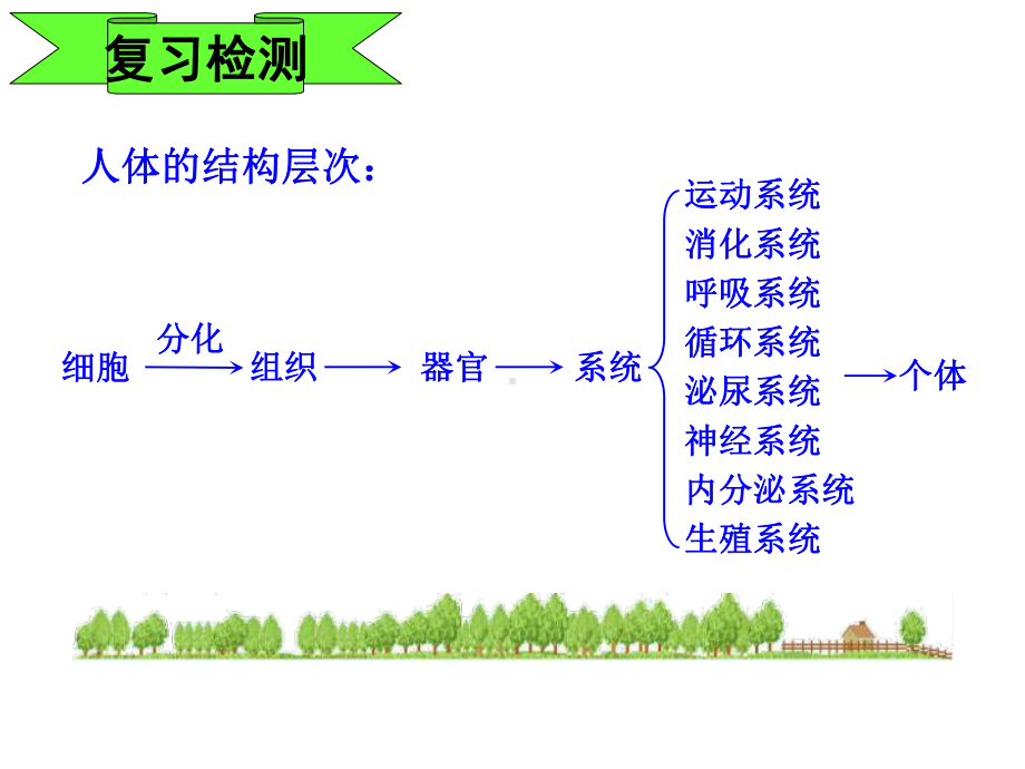 苏教版生物七年级上册51植物种子的萌发课件.ppt_第2页