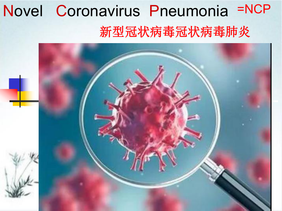 中考热点话题新冠状病毒肺炎作文课件.ppt_第2页