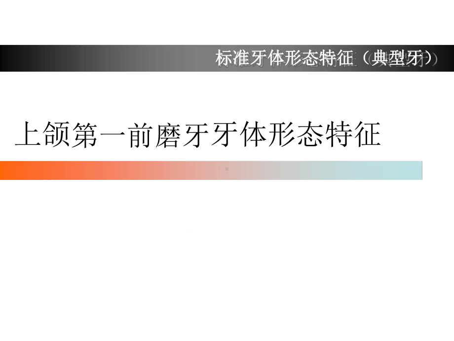 上颌第一前磨牙牙体形态简述推荐课件.ppt_第1页