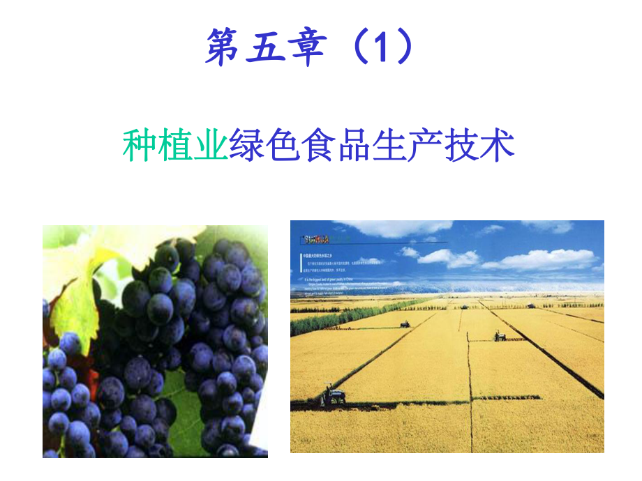 第五章-种植业绿色食品生产技术课件.ppt_第1页