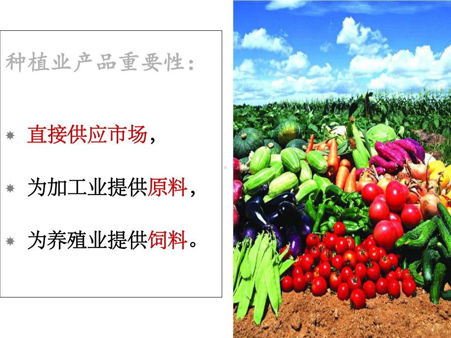 第五章-种植业绿色食品生产技术课件.ppt_第2页