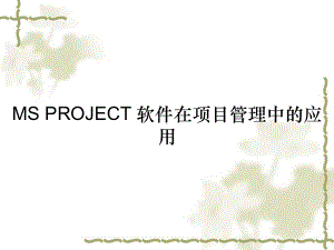 MS-PROJECT-软件在项目管理中的应用课件.ppt