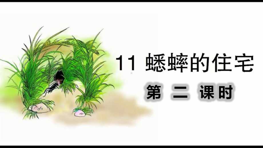 蟋蟀的住宅（第课时）课件.ppt_第1页