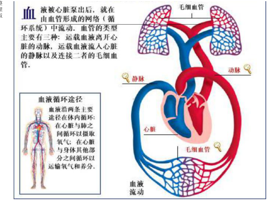 肺栓塞病人的护理课件.ppt_第3页