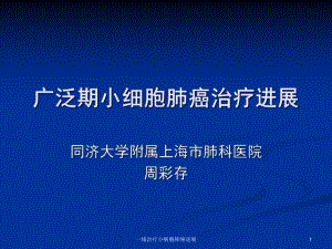 一线治疗小细胞肺癌进展课件.ppt