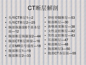 CT断层解剖-课件.ppt