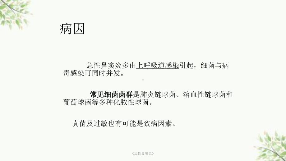 《急性鼻窦炎》课件.ppt_第2页