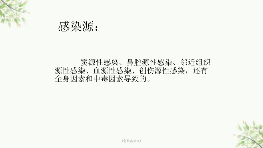 《急性鼻窦炎》课件.ppt_第3页