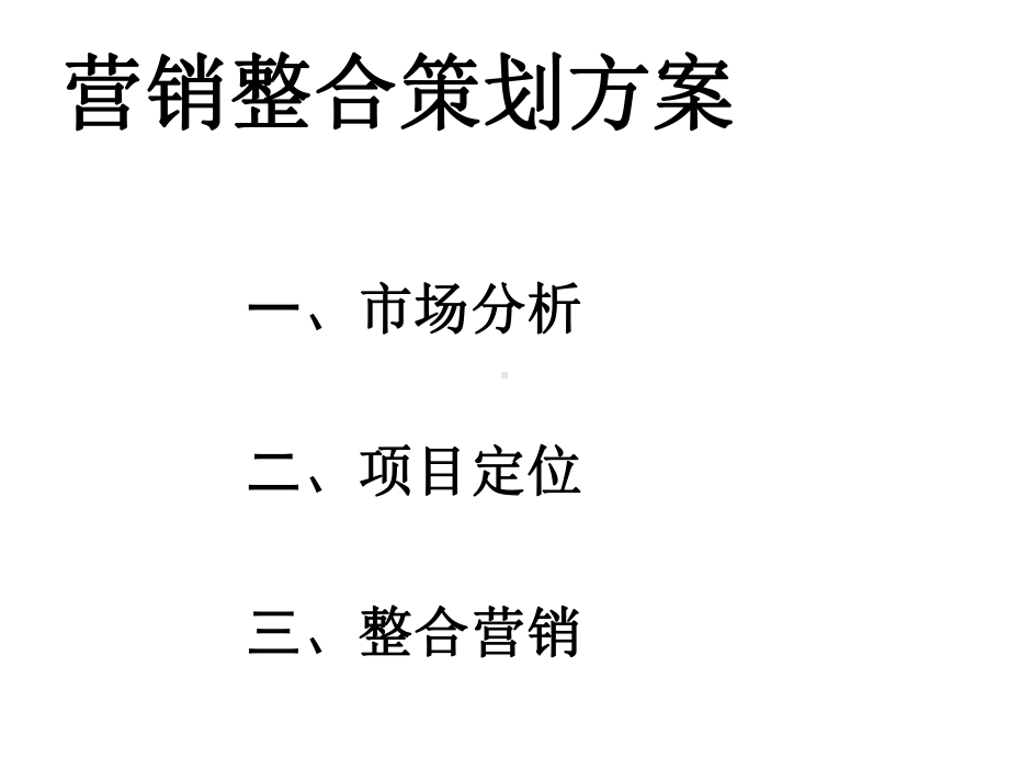 营销整合策划方案.ppt_第2页