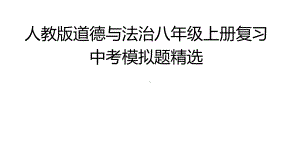 统编部编版八年级上册道德与法治复习中考模拟题精选课件.pptx