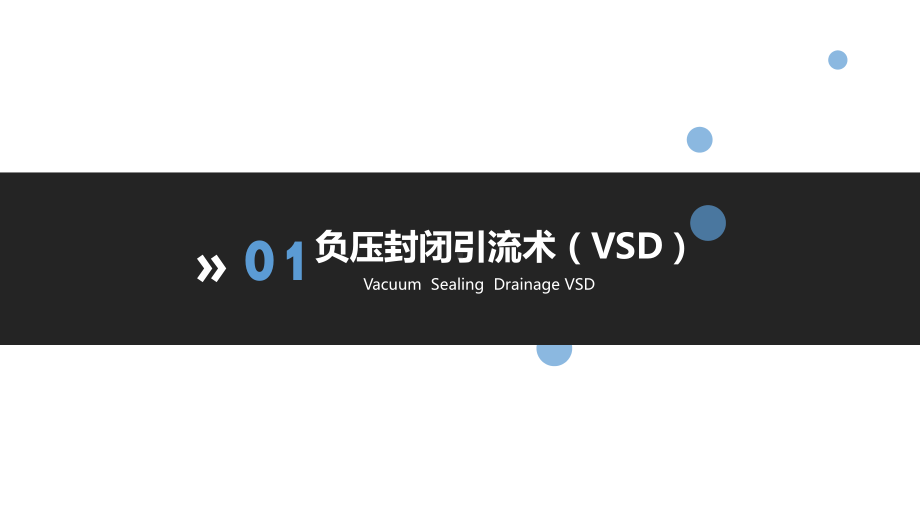 VSD在压疮治疗中应用课件.pptx_第3页