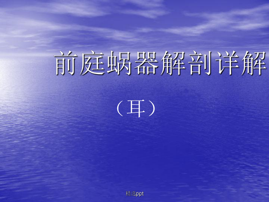 CT内耳面神经解剖课件.pptx_第1页