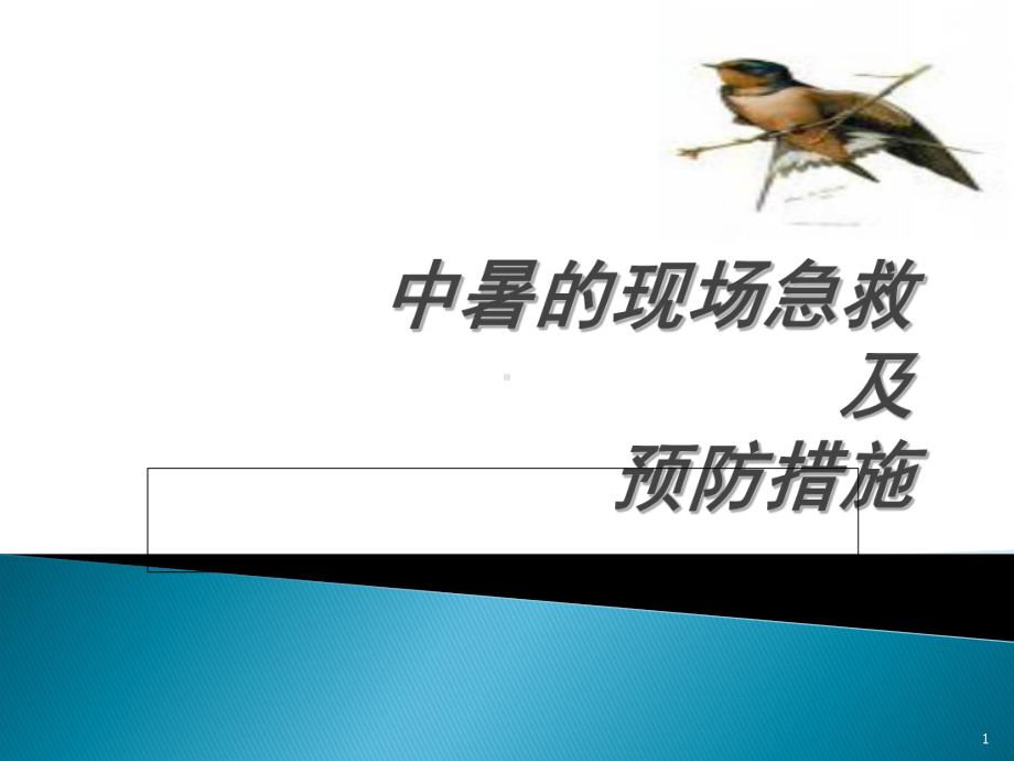 中暑的现场急救措施教学课件.ppt_第1页