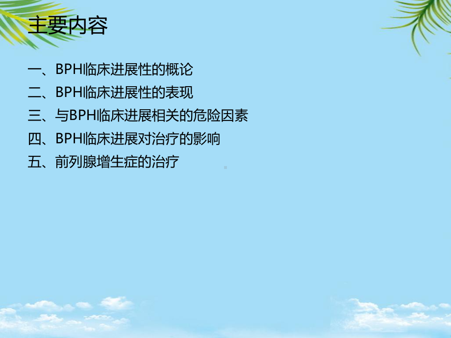 BPH的临床进展性及治疗课件.ppt_第2页