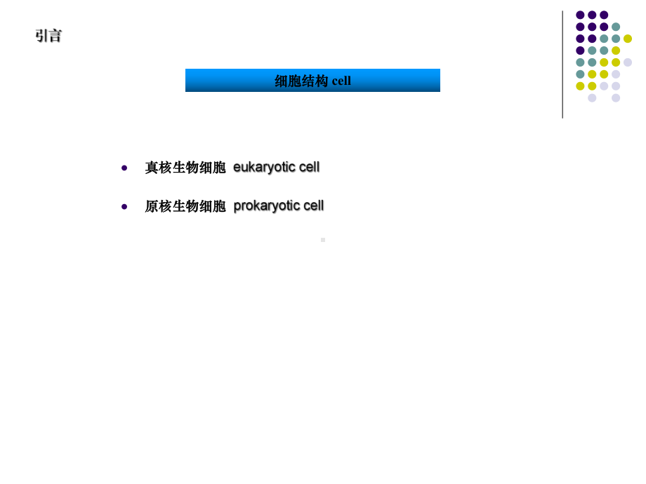 -生物大分子相互作用分析技术(基础医学与医学实验技术)课件.ppt_第3页