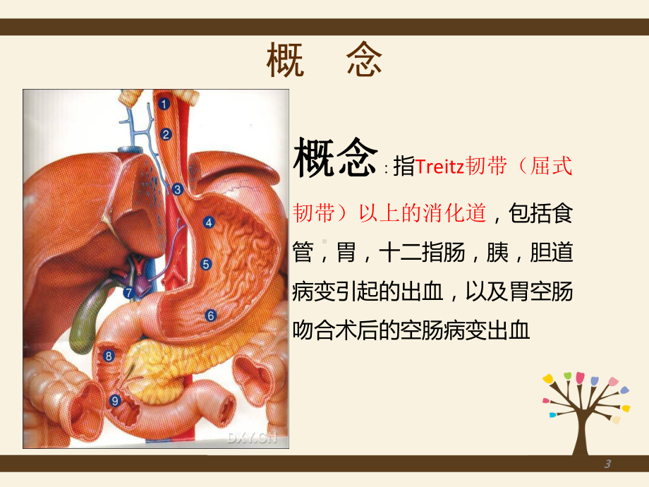 上消化道出血个案查房课件.ppt_第3页