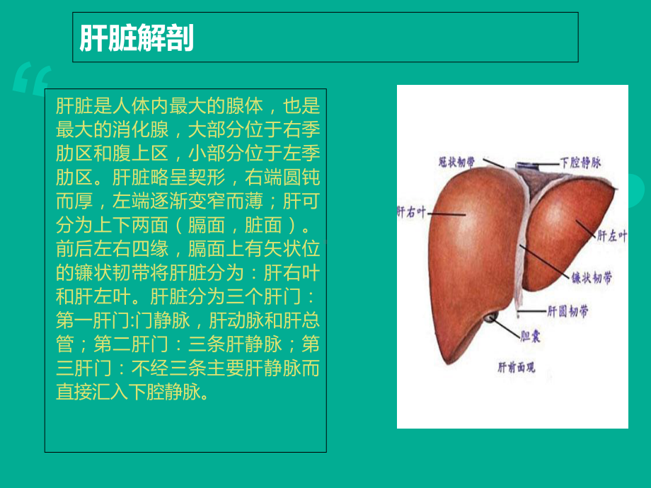 下腔静脉破裂教材课件.ppt_第3页