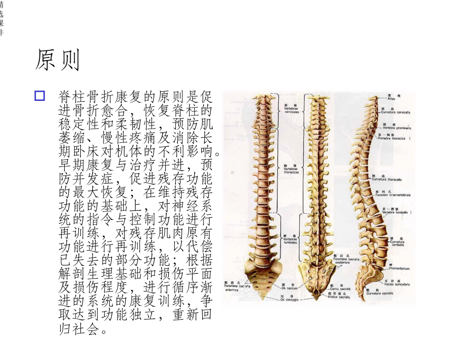 脊柱骨折康复课件.ppt_第2页