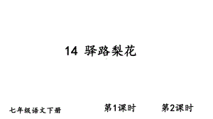 部编版七年级语文下册14-驿路梨花竞赛课件.ppt