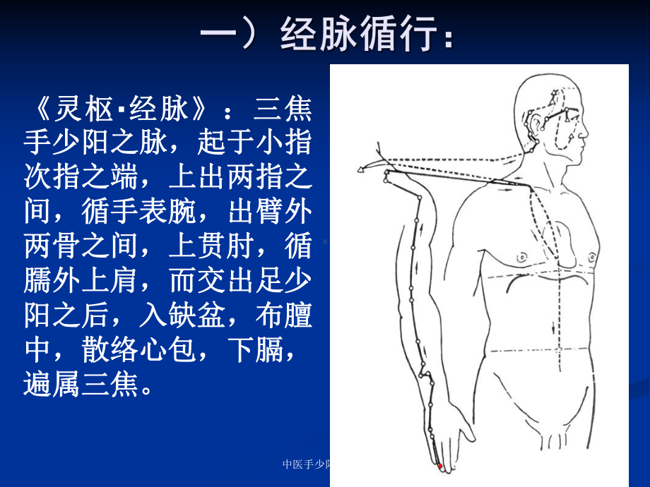 中医手少阳三焦经培训课件.ppt_第3页