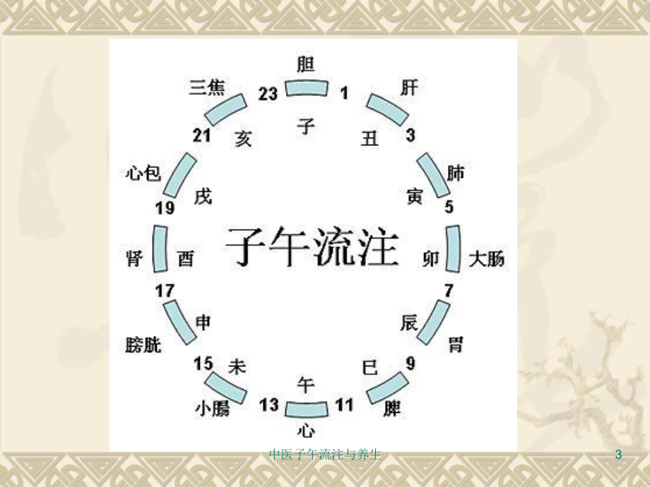 中医子午流注与养生培训课件.ppt_第3页