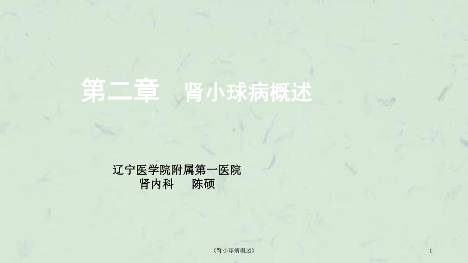 《肾小球病概述》课件.ppt_第1页