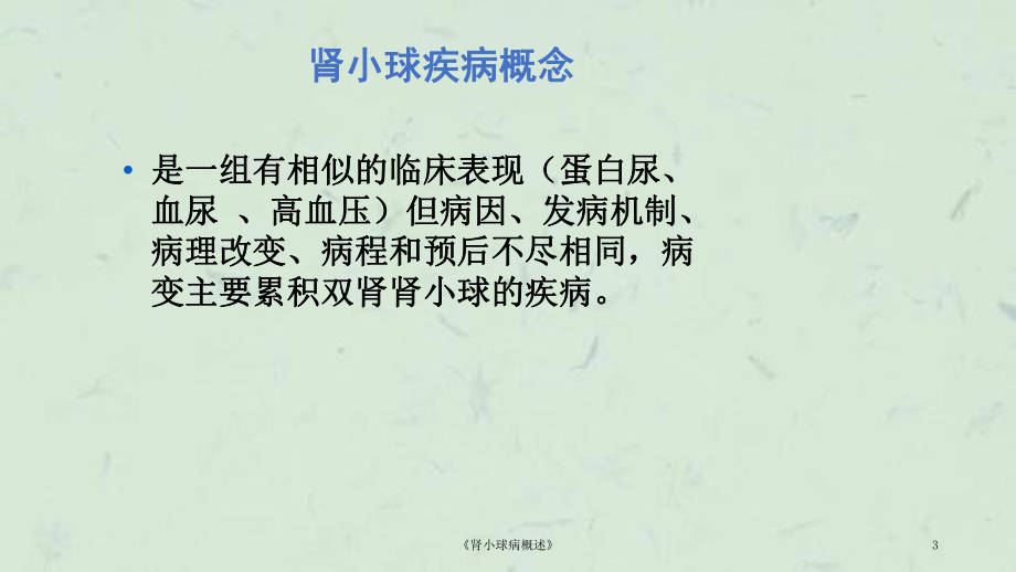 《肾小球病概述》课件.ppt_第3页