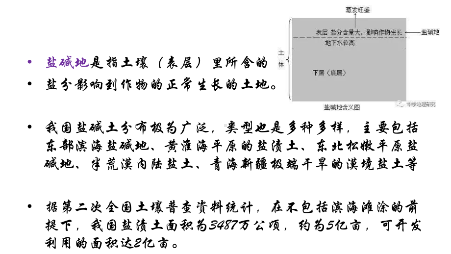 高中地理-盐碱地的治理专题课件.ppt_第2页