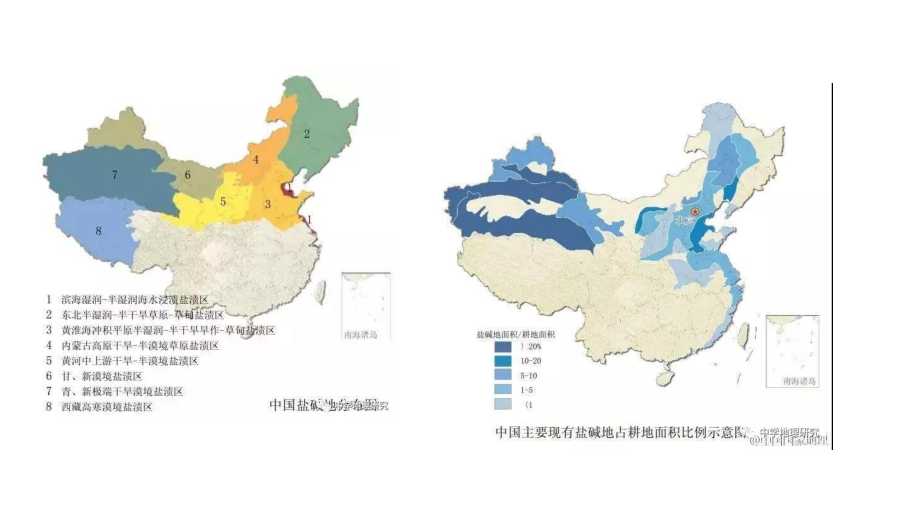 高中地理-盐碱地的治理专题课件.ppt_第3页