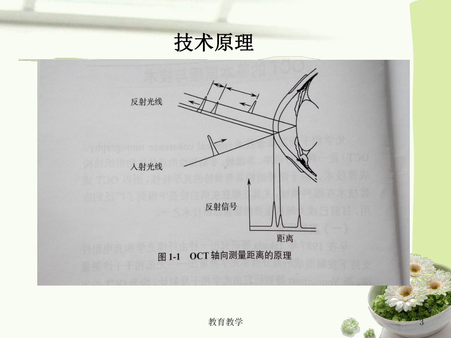 OCT基础知识(高教课堂)课件.ppt_第3页