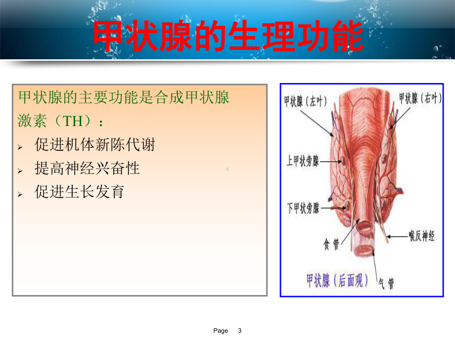 一例甲亢伴粒细胞减少病例分析课件.pptx_第3页