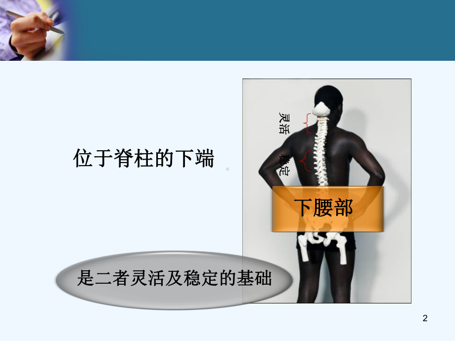 下腰痛诊断与康复治疗课件.ppt_第2页