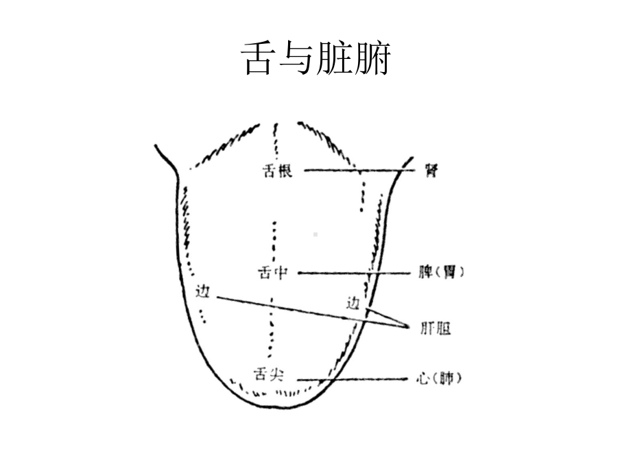 临床各种舌相大全(图片详尽课件.ppt_第2页