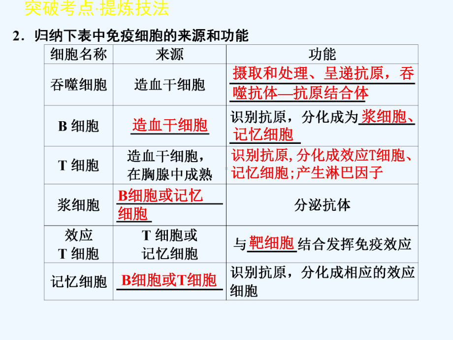 LXF期末复习免疫调节课件.ppt_第3页