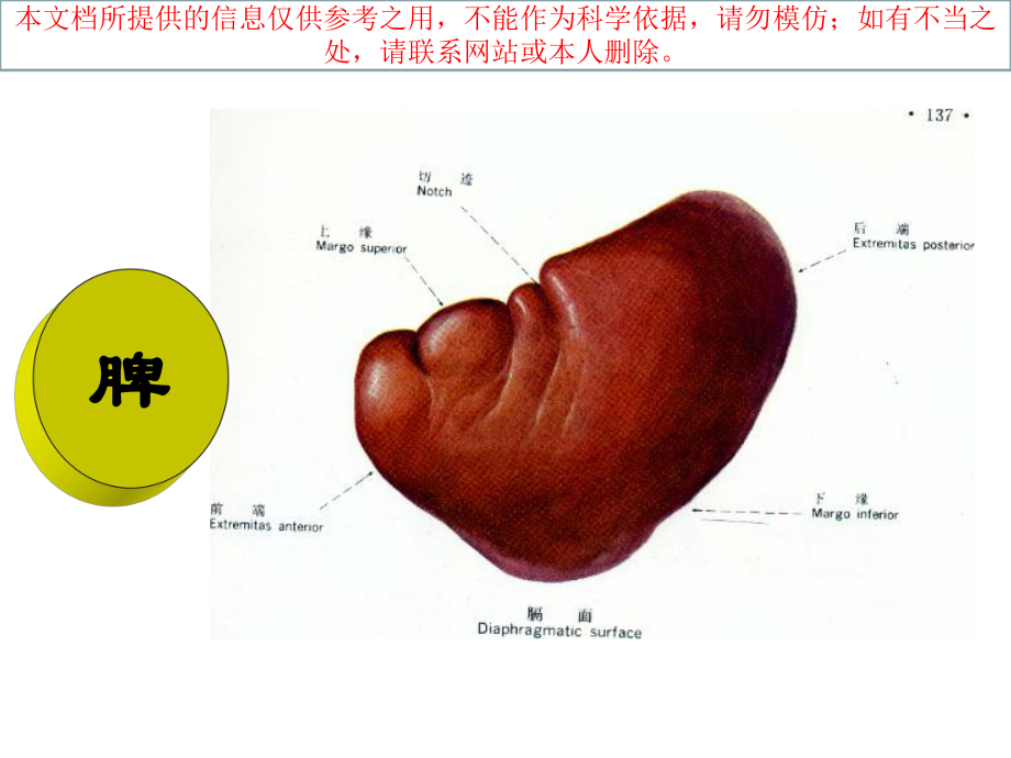 中医基础理论之五脏篇脾培训课件.ppt_第1页