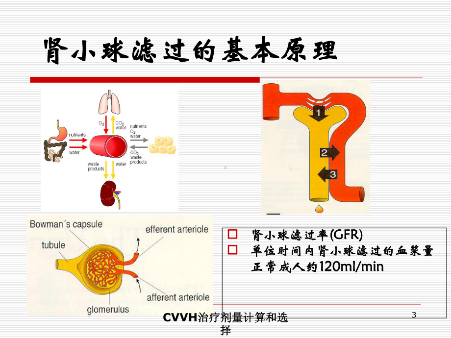 CVVH治疗剂量计算和选择培训课件.ppt_第3页