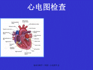 临床诊断学心电图学-总课件.ppt