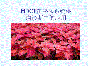 MSCT在泌尿疾病诊断应用课件.ppt