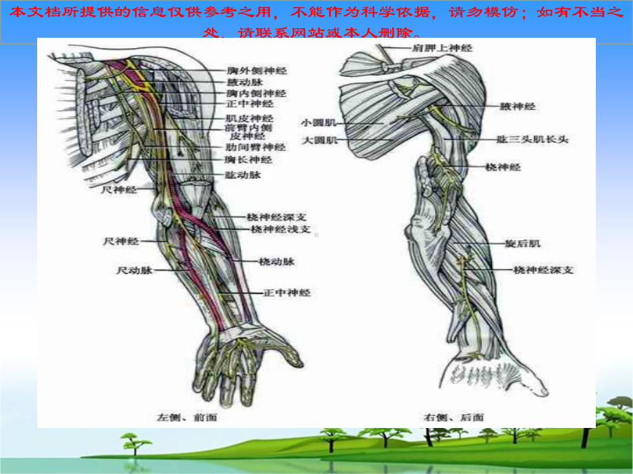 上肢神经损伤的表现和医疗护理培训课件.ppt_第3页