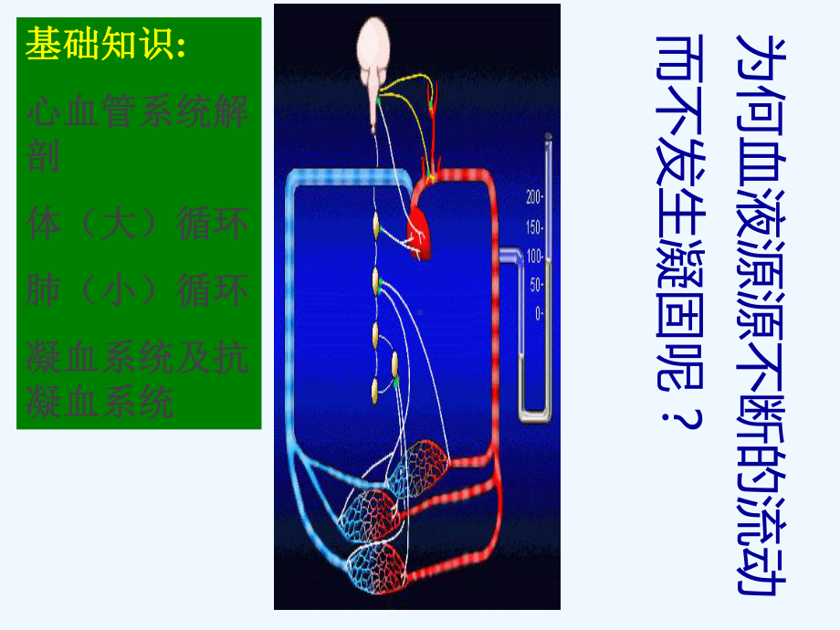 中职病理学第三章局部血液循环障碍课件.ppt_第2页