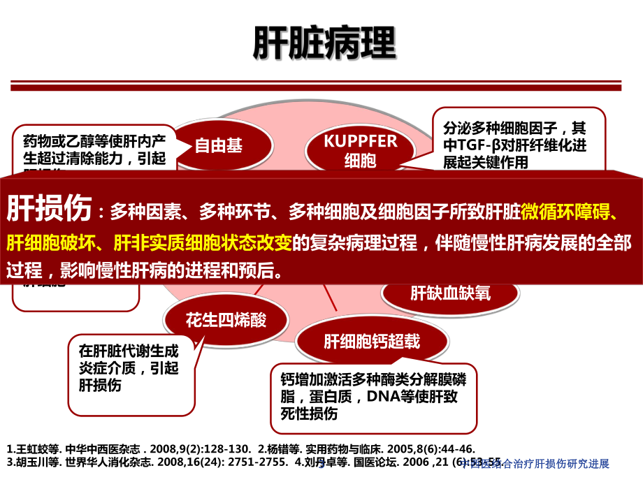 中西医结合治疗肝损伤研究进展培训课件.ppt_第3页