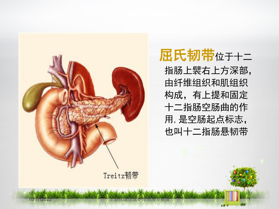 上消化道出血护理查房专业版培训课件.ppt_第1页